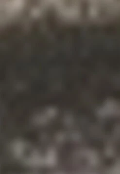 Gerry Weber KURZARM MIT FEINEM - T-Shirt Print - Ecru Weiss Schwarz Streifen 13 Gerry Weber KURZARM MIT FEINEM - T-Shirt Print - Ecru Weiss Schwarz Streifen -Dein Mode Laden 4ef024fe30b047e59f08e392c771b37d