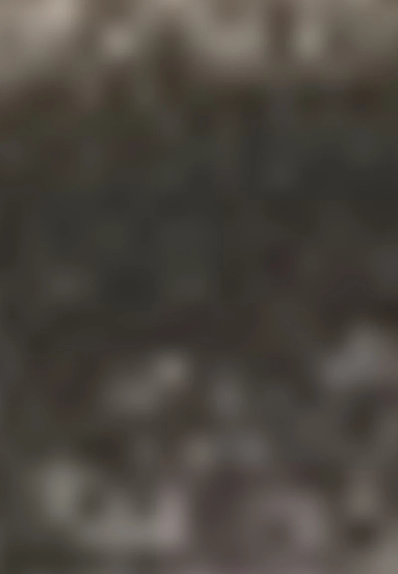 Gerry Weber KURZARM MIT FEINEM - T-Shirt Print - Ecru Weiss Schwarz Streifen 8 Gerry Weber KURZARM MIT FEINEM - T-Shirt Print - Ecru Weiss Schwarz Streifen – Bild 6