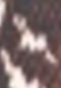 Gerry Weber ASYMMETRISCHER - Maxirock - Braun Ecru Weiss Druck 13 Gerry Weber ASYMMETRISCHER - Maxirock - Braun Ecru Weiss Druck -Dein Mode Laden 67aec292da03455f84d5be64e327bf9a