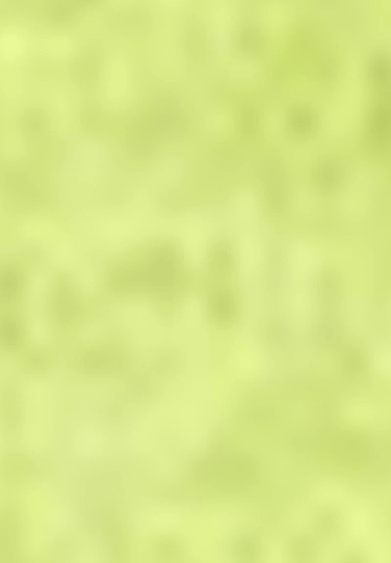 Gerry Weber ODY 3/4 ARM MIT FRANSE - Strickpullover - Lime 8 Gerry Weber ODY 3/4 ARM MIT FRANSE - Strickpullover - Lime – Bild 6