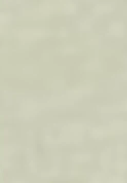 Gerry Weber 1/2 ARM KURZARM AUSSCHNITT - T-Shirt Basic - Sage -Dein Mode Laden 983baa99b2754e11ad8f8c9068bd22e6