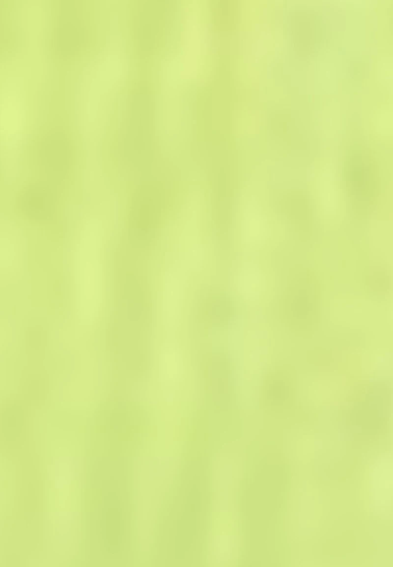 Gerry Weber MIT HALBARM - Strickjacke - Lime 8 Gerry Weber MIT HALBARM - Strickjacke - Lime – Bild 6