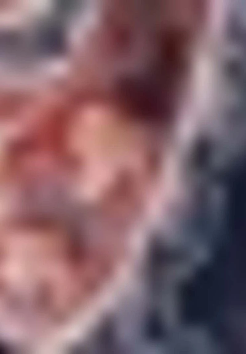 Gerry Weber PAISLEYMUSTER - Schal - Cream/ Sienna/ Mellow Rose 5 Gerry Weber PAISLEYMUSTER - Schal - Cream/ Sienna/ Mellow Rose – Bild 3